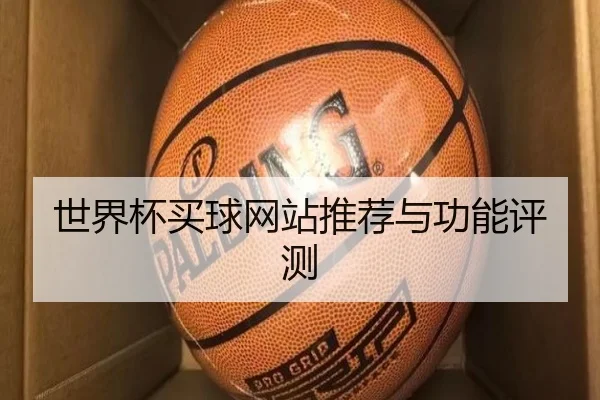 世界杯买球网站推荐与功能评测