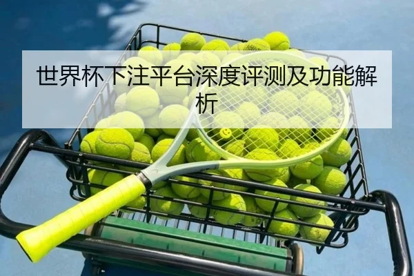 世界杯下注平台深度评测及功能解析