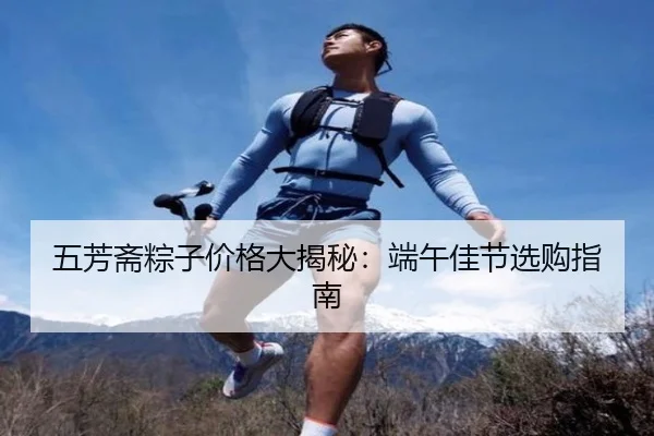五芳斋粽子价格大揭秘：端午佳节选购指南