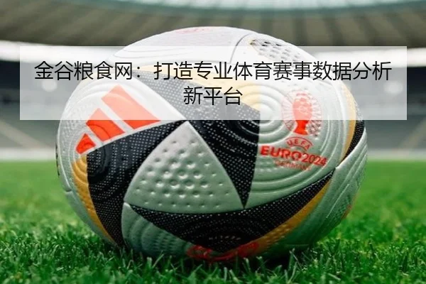 金谷粮食网：打造专业体育赛事数据分析新平台